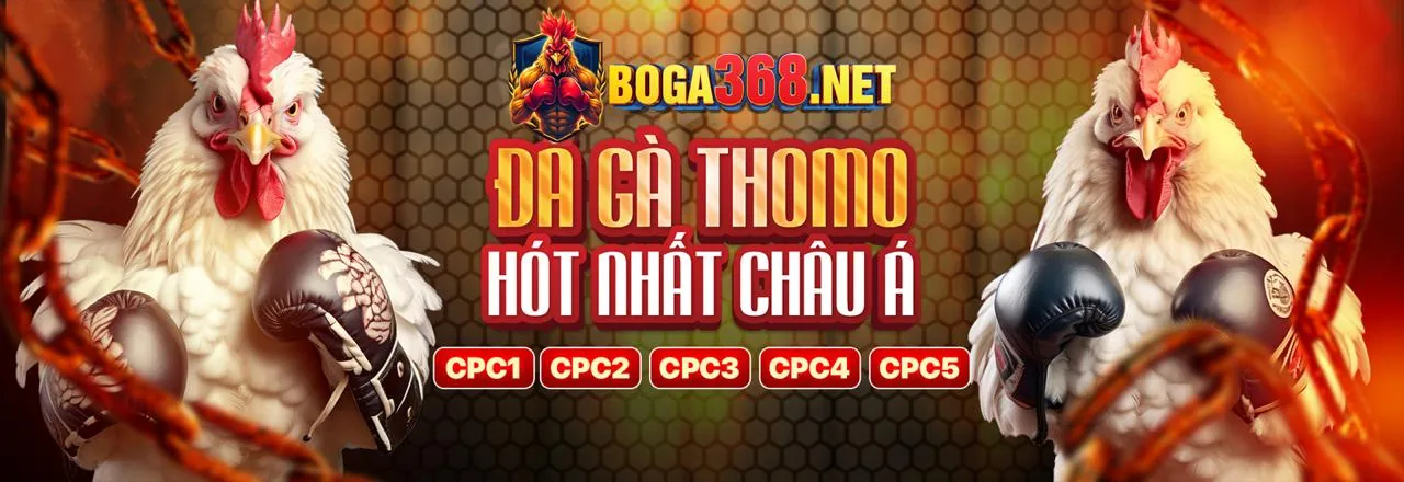 Đá gà trực tuyến 12win chính thức